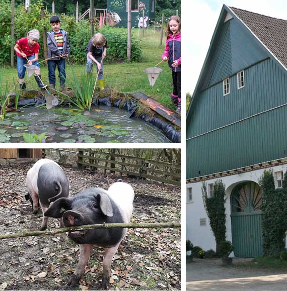 3 Bilder: Kinder spielen an einem Teih, Schweine an der freien Lust, ein Bauernhaus